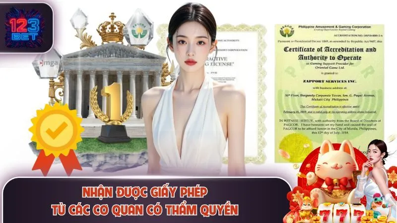 Thông tin tổng quan về giấy phép hoạt động